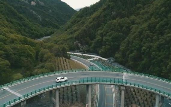 Inauguran en China autopista que fue construida sin cortar un solo árbol