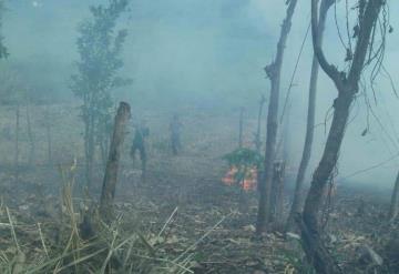 Así combatirán cambio climático en Tabasco