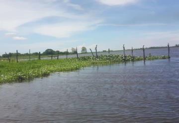 Sin dragado y sin peces laguna de Macuspana