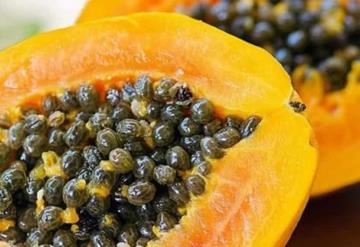 Papaya mexicana contaminada con salmonella