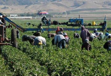 Frenan envíos de jornaleros tabasqueños a Canadá