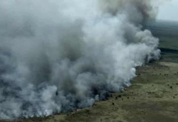 Reserva de Sian Ka´an es consumida por incendio