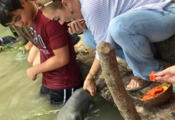 Familias disfrutan de El tour del manatí