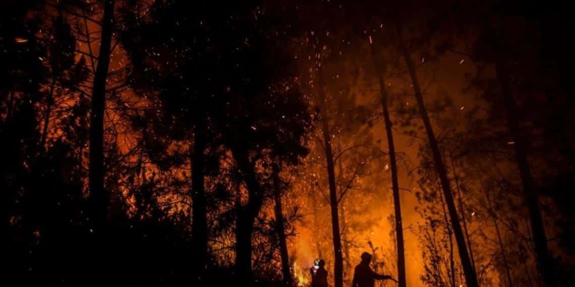 Arde Portugal, el saldo hasta ahora es de 20 heridos