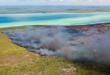 Controlado al 85 por ciento el incendio forestal en reserva Sian Kaan en el estado de Quintana Roo