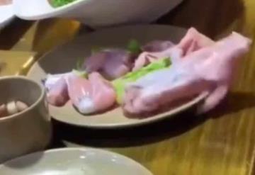 Video: Un trozo de pollo trata de escapar del plato