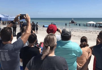 Ballenas varadas en playa de Florida son salvadas por turistas 