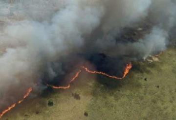 Extinguen incendio en reserva ecológica de Quintana Roo, tras 29 días