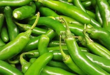 En México 6 de cada 10 chiles verdes que se consumen provienen de China