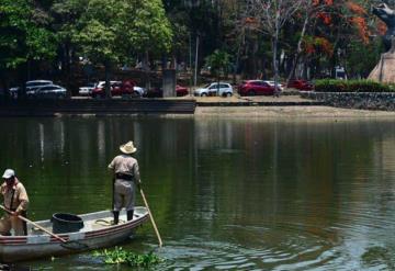 Arsénico, plomo y mercurio en el Vaso Cencali y la Laguna de las Ilusiones