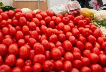 México y Estados Unidos logran acuerdo sobre el tomate