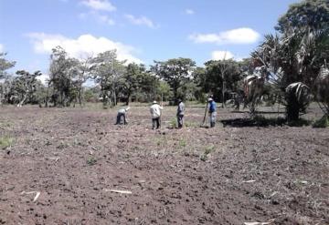 Denuncian a funcionaria de Sembrando Vida, sacó del programa a campesinos