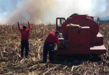 Incendios afectan 4 mil hectáreas en Tabasco