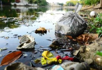 Microalga y basura  acaban con ríos y lagunas en Tabasco