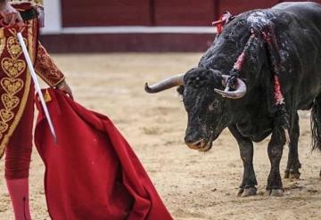 Se van a consulta las corridas de toros: AMLO