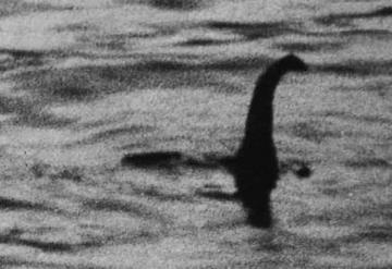 Monstruo del Lago Ness podría ser una anguila gigante, científico