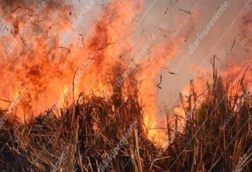 Se enferman por el humo; Se han registrado 951 incendios