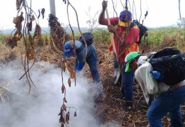 Se suma personal de Protección Civil de Jonuta para apagar fuego en reserva natural de Centla