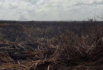 Fuerte lluvia detiene incendio en la reserva de los Pantanos de Centla