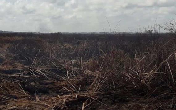 Fuerte lluvia detiene incendio en la reserva de los Pantanos de Centla