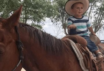 Niño muere al ser pateado por un caballo; practicaba equitación