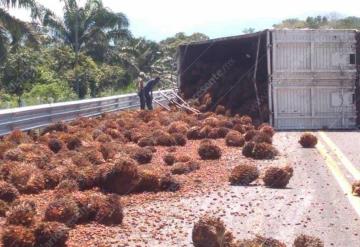 Vuelca tráiler en la carretera Palenque - Catazajá, transportaba palma de aceite