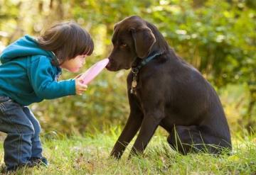 Los perros son buenos para la salud de tus hijos