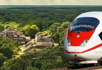 Construcción del Tren Maya no afectará medio ambiente AMLO