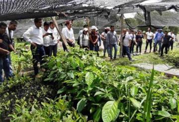 Sembrando vida, donará 30 mdd a Guatemala