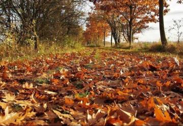 Otoño: cuánto dura y cuándo es el cambio de horario