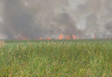 Pegan incendios a Pantanos de Centla