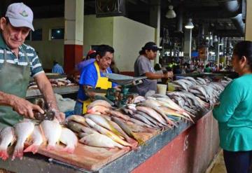 Hallan microplásticos en 2 de cada 10 pescados