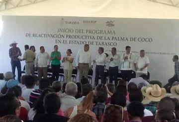 Da inicio el programa de Reactivación de la Palma de Coco en Centla