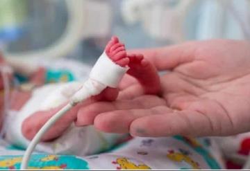 Un útero artificial podría ser la esperanza para bebés prematuros