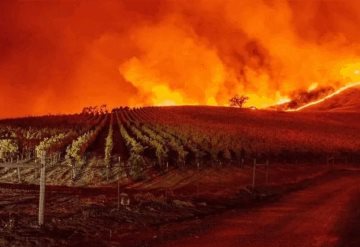 Video: Así fue como inició el incendio forestal en California