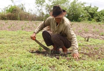 Aceptan Cámara Diputados que campesinos no paguen por uso de agua