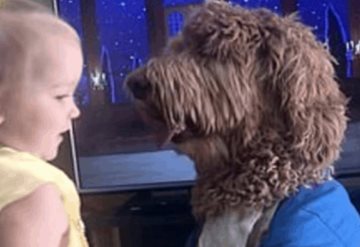 VÍDEO: Niña y su perrito conquistan las redes disfrazados de “La Bella y la Bestia”