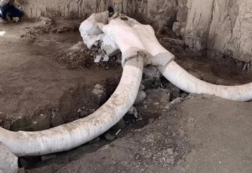 Encuentran en Tultepec primera trampa de mamut en el mundo