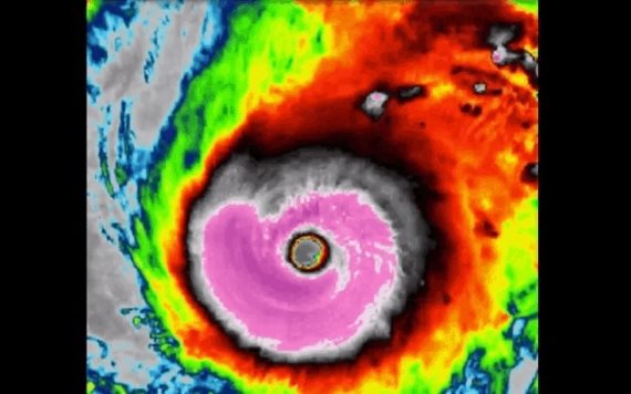 Video: Tifón “Halong”: Uno de los más potentes jamás visto en satélite