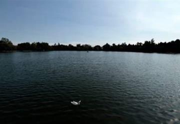 Video: Encuentran en un lago pez con cara de humano