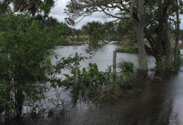 293 personas refugiadas por lluvias en Comalcalco