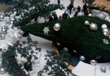 Cae árbol de Navidad gigante en una plaza; una persona resultó herida