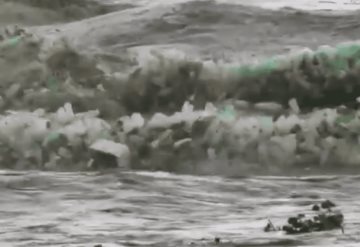 Video: Captan olas de plástico en una playa de Sudáfrica