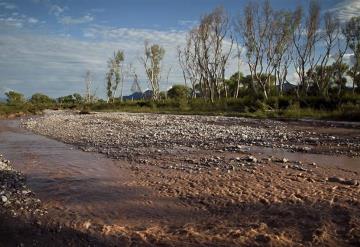 Hallan contaminantes que causan cáncer en el Río Sonora