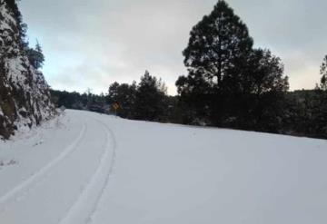 Chihuahua en alerta amarilla; así se ven las nevadas que azotan la entidad