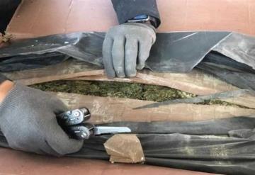 Encuentran 400 kilos de mariguana en caja de paquetería en la Ciudad de México