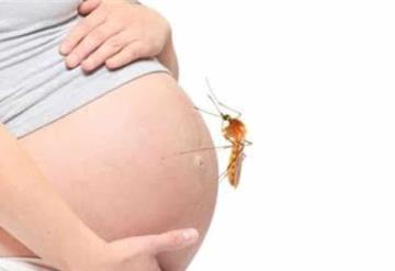 Detectan una embarazada con Zika en Tabasco