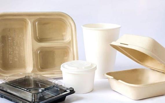 Plásticos biodegradables son muy caros: Consejo Coordinador Empresarial de Tabasco