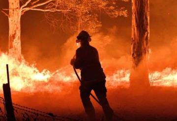 Australia perdida por los incendios; este es el total de especies que han muerto