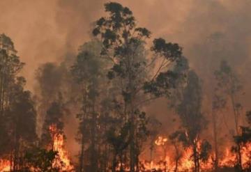 Llueve en Australia y da un respiro ante incendios